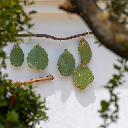 Hotel Masseria Fontanelle Ugento
